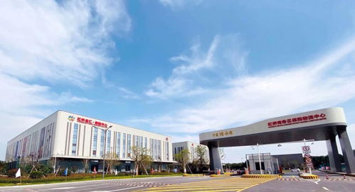 外貿淺表開采將結束，繁花中的上海老外貿轉型開拓企業(yè)信用調查新生意